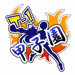 画像ギャラリー No.001のサムネイル画像 / 「トイ・ウォーズ」,「T-1甲子園」決勝トーナメントの模様をUstreamで配信