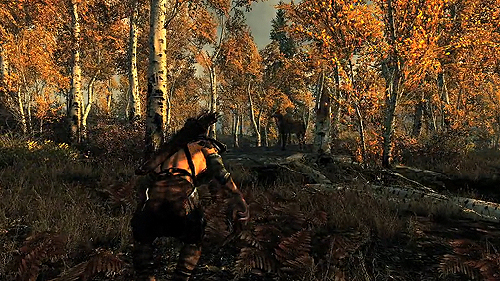 画像ギャラリー No.005のサムネイル画像 / ついに「The Elder Scroll V: Skyrim」のゲームプレイ映像が公開。ドラゴンを剣1本で仕留める「Dragonborn」の再来だ!