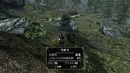 The Elder Scrolls V: SkyrimפΥӥ塼ǺܡꤳܤΥϥե󥿥ʤ顤鿴Ԥؤͥ˺ʤѤʤ̿RPG