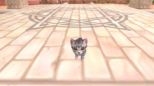 画像ギャラリー No.031のサムネイル画像 / 「Finding Neverland Online -聖境伝説-」のクローズドβテスターが3月中旬に募集予定&戦闘シーンやペット,そしてアルパカ(!)のSSが公開