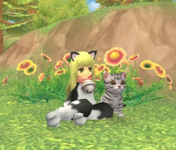 画像ギャラリー No.033のサムネイル画像 / 「Finding Neverland Online -聖境伝説-」のクローズドβテスターが3月中旬に募集予定&戦闘シーンやペット,そしてアルパカ(!)のSSが公開