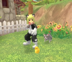 画像ギャラリー No.034のサムネイル画像 / 「Finding Neverland Online -聖境伝説-」のクローズドβテスターが3月中旬に募集予定&戦闘シーンやペット,そしてアルパカ(!)のSSが公開