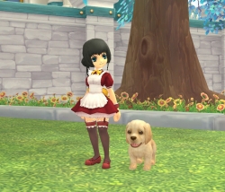 画像ギャラリー No.039のサムネイル画像 / 「Finding Neverland Online -聖境伝説-」のクローズドβテスターが3月中旬に募集予定&戦闘シーンやペット,そしてアルパカ(!)のSSが公開