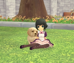 画像ギャラリー No.041のサムネイル画像 / 「Finding Neverland Online -聖境伝説-」のクローズドβテスターが3月中旬に募集予定&戦闘シーンやペット,そしてアルパカ(!)のSSが公開