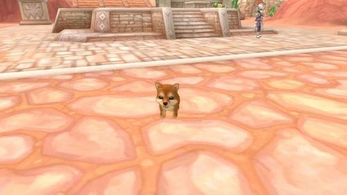 画像ギャラリー No.043のサムネイル画像 / 「Finding Neverland Online -聖境伝説-」のクローズドβテスターが3月中旬に募集予定&戦闘シーンやペット,そしてアルパカ(!)のSSが公開