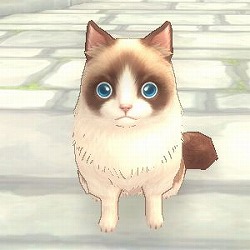 画像ギャラリー No.002のサムネイル画像 / 「FNO」“ネコ系アイテム”を2月22日から期間限定販売