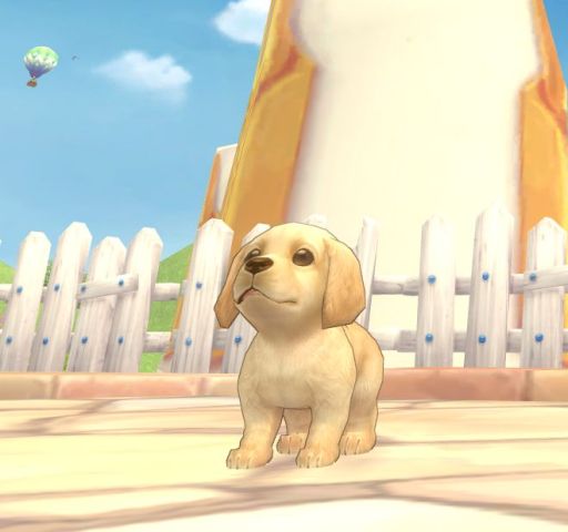 画像ギャラリー No.001のサムネイル画像 / 「FNO」カジュアルウェアやペットなどが手に入るBOXが期間限定で再登場