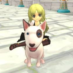 画像ギャラリー No.001のサムネイル画像 / 「FNO」ペットの“ブルテリア”や“チワワ”が手に入るアイテムを再販