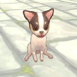 画像ギャラリー No.002のサムネイル画像 / 「FNO」ペットの“ブルテリア”や“チワワ”が手に入るアイテムを再販