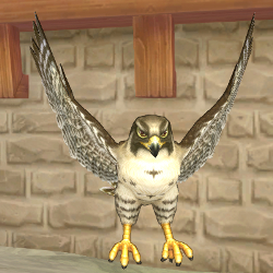 画像ギャラリー No.002のサムネイル画像 / 「FNO」,ホークカプセルや女忍者服カプセルなどの販売を1月10日に開始