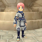 画像ギャラリー No.010のサムネイル画像 / 「FNO」,ホークカプセルや女忍者服カプセルなどの販売を1月10日に開始