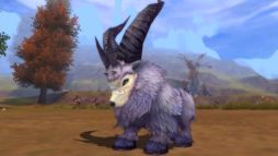 画像ギャラリー No.010のサムネイル画像 / 「Forsaken World」第3回「祈り芸人in FW-TV」を5月19日に放送