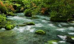 画像ギャラリー No.002のサムネイル画像 / 「Fish Eyes 3D」公式サイトで「上流」「入り江」の情報公開