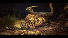 画像ギャラリー No.011のサムネイル画像 / 「Dragon's Dogma」,プレイヤーの育て方次第で行動パターンが大きく変わる「ポーン」の続報が公開に