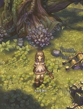 Tree of Savior（Project R1）