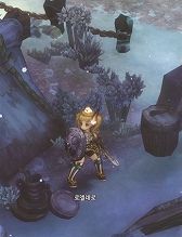 Tree of Savior（Project R1）