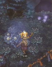 Tree of Savior（Project R1）