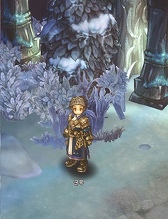 Tree of Savior（Project R1）