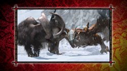 画像ギャラリー No.003のサムネイル画像 / 「モンスターハンターポータブル 3rd HD Ver.」には,MHPシリーズ歴代のOP映像や生態ムービーなどが収録される。懐かしい映像を高画質で楽しもう