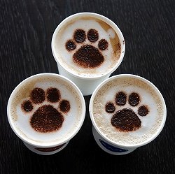 画像ギャラリー No.023のサムネイル画像 / ディレクター外山氏のほか,吉田修平氏や桝田省治氏も登場した「GRAVITY DAZE」先行体験会&スタジオ見学ツアーをレポート