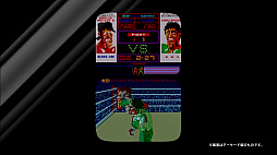 画像ギャラリー No.008のサムネイル画像 / AC版「マリオブラザーズ」がアーケードアーカイブスでNintendo Switchに登場。VS.シリーズなども続々リリース予定