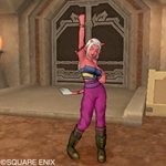 画像ギャラリー No.021のサムネイル画像 / 「ドラゴンクエストX」オンラインでのコミュニケーション方法や職業「僧侶」,転職システムなどの情報が公開に