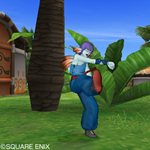 画像ギャラリー No.022のサムネイル画像 / 「ドラゴンクエストX」オンラインでのコミュニケーション方法や職業「僧侶」,転職システムなどの情報が公開に