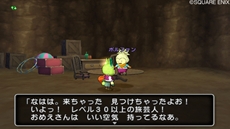 画像ギャラリー No.016のサムネイル画像 / 「ドラゴンクエストX 目覚めし五つの種族 オンライン」,プクランド大陸で出会う個性的なキャラクターや,「旅芸人クエスト」などを紹介