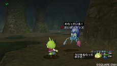 画像ギャラリー No.017のサムネイル画像 / 「ドラゴンクエストX 目覚めし五つの種族 オンライン」,プクランド大陸で出会う個性的なキャラクターや,「旅芸人クエスト」などを紹介