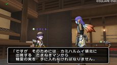 画像ギャラリー No.002のサムネイル画像 / 「ドラゴンクエストX」待望の新職業「パラディン」「レンジャー」への転職クエストが本日実装に