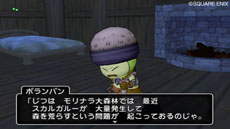 画像ギャラリー No.005のサムネイル画像 / 「ドラゴンクエストX 目覚めし五つの種族 オンライン」,新職業「パラディン」「レンジャー」向けに配信されるクエストの概要が公開に