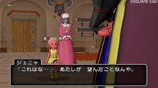 画像ギャラリー No.004のサムネイル画像 / 「ドラゴンクエストX」パラディン/レンジャーの連続クエストに関する情報が公開。第3話は本日,必殺技が習得できる第4話は10月25日に配信予定