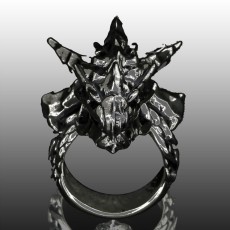 画像ギャラリー No.016のサムネイル画像 / カプコン,「モンスターハンター」関連の最新グッズ情報を公開。“きもかわいい”イビルジョーなどが登場