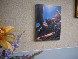 画像ギャラリー No.005のサムネイル画像 / 「MH3(トライ)G」,満を持して“一番くじ”に登場。A賞はブラキディオスの頭部