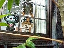 画像ギャラリー No.002のサムネイル画像 / 「アイルーとメラルーとあなたの旅日記」第2弾でアイルー達の写真を募集中