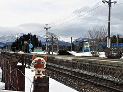 画像ギャラリー No.003のサムネイル画像 / 「アイルーとメラルーとあなたの旅日記」第2弾でアイルー達の写真を募集中