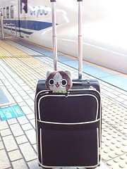 画像ギャラリー No.005のサムネイル画像 / 「アイルーとメラルーとあなたの旅日記」第2弾でアイルー達の写真を募集中