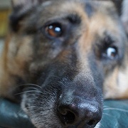 画像ギャラリー No.003のサムネイル画像 / 友達の家に通いつめて遊んだ憧れのゲーム――『イース トリビュート』執筆陣コメント第5弾,橘ぱん氏からのコメントを掲載