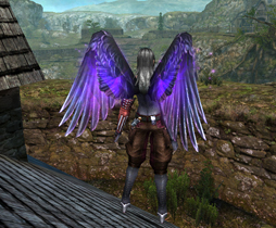 画像ギャラリー No.008のサムネイル画像 / 「イザナギオンライン」,iOS版が3周年。5大キャンペーンを開催