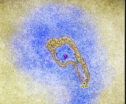 画像ギャラリー No.004のサムネイル画像 / 「God's War」Lv130のコンテンツが解禁。基本属性が上昇するシステムを実装