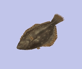 画像ギャラリー No.001のサムネイル画像 / 「イルーナ戦記オンライン」,釣り機能追加の大型アップデート実施