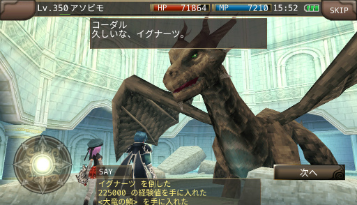 画像ギャラリー No.008のサムネイル画像 / 「イルーナ戦記オンライン」,特殊装備のダブルスロットが開放