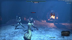 画像ギャラリー No.005のサムネイル画像 / 「エルダー・スクロールズ・オンライン」日本語版の正式サービスに先駆けたメディア向け体験会をレポート