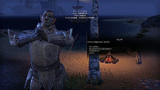 画像ギャラリー No.015のサムネイル画像 / 「エルダー・スクロールズ・オンライン」日本語版の正式サービスに先駆けたメディア向け体験会をレポート