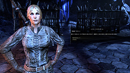 画像ギャラリー No.002のサムネイル画像 / 英語版プレイヤーを対象とした「エルダー・スクロールズ・オンライン」日本語版への移行キャンペーンを実施。無償でキャラクターを移行可能に