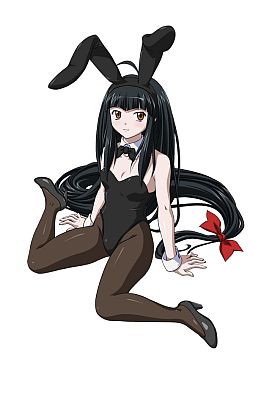 画像ギャラリー No.003のサムネイル画像 / 「一騎当千 バーストファイト」バニー服姿の闘士が手に入るイベントを実施中