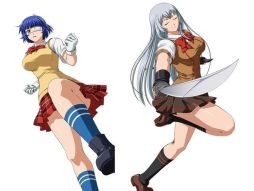 画像ギャラリー No.005のサムネイル画像 / フィーチャーフォン向け「一騎当千 バーストファイト」がGREEとMobageで配信