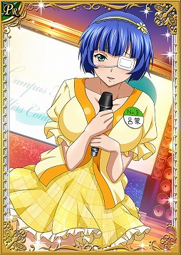 画像ギャラリー No.009のサムネイル画像 / 「一騎当千バーストファイト」,“一騎当千ミス・コンテスト”を開催