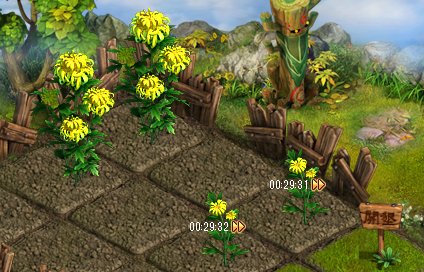 画像ギャラリー No.002のサムネイル画像 / 「ソラノヴァ」,農園で「金菊」を栽培しアイテムと交換してもらう「秋祭り」イベント