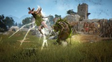 画像ギャラリー No.008のサムネイル画像 / 「黒い砂漠」,オープンワールドで繰り広げられる大規模戦闘と騎乗戦の情報が公開。フィールドにレイドボスが現れることも